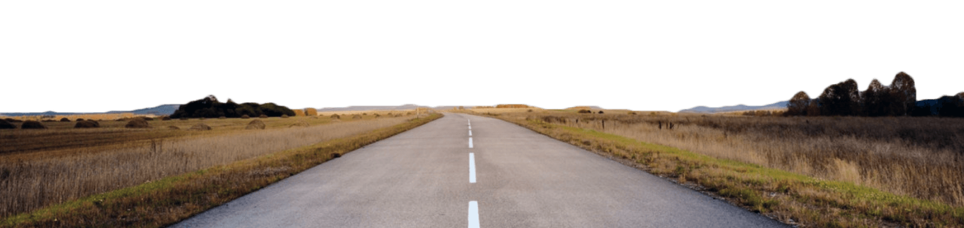 Camino LESI