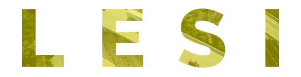 LESI